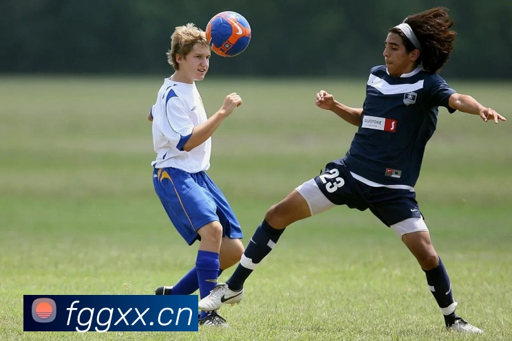 开云官网APP 高清赛事图